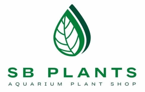 SB PLANTS
